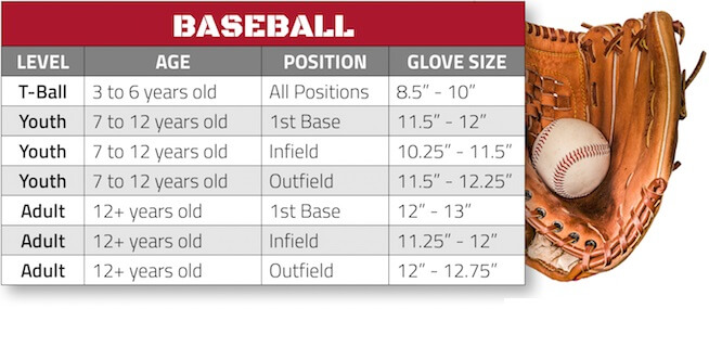 Measuring the Size of a Baseball Glove