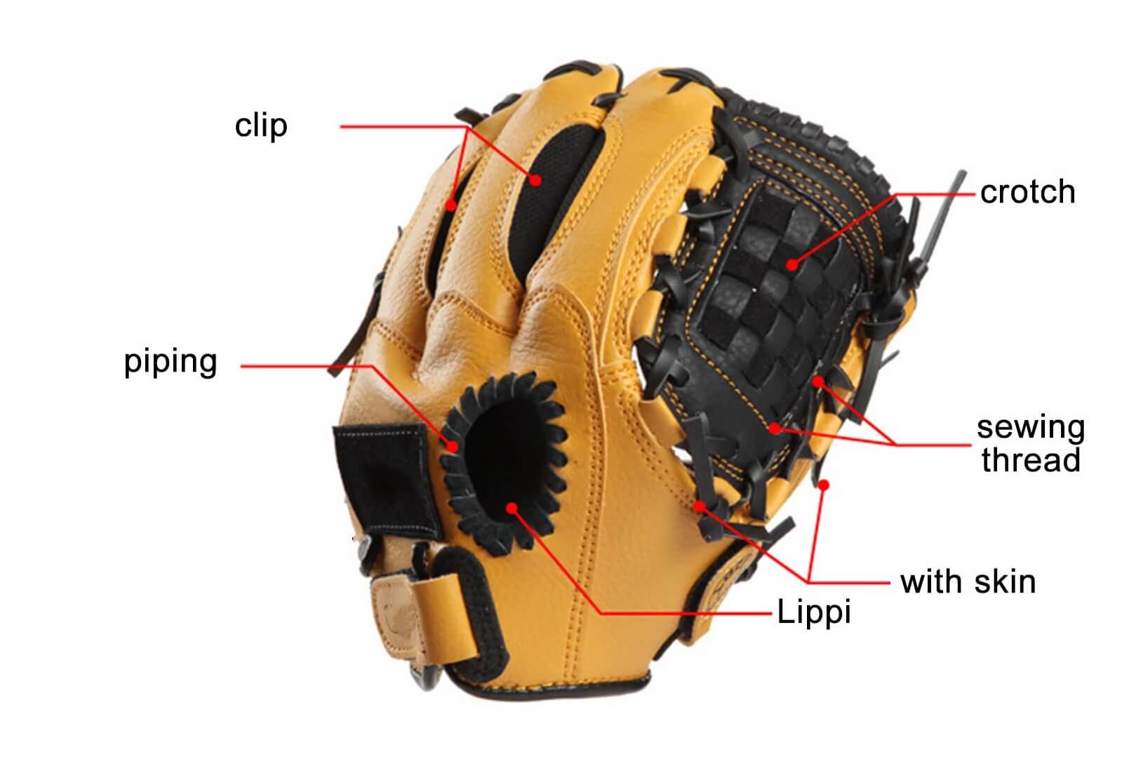 Materials of a Baseball Glove