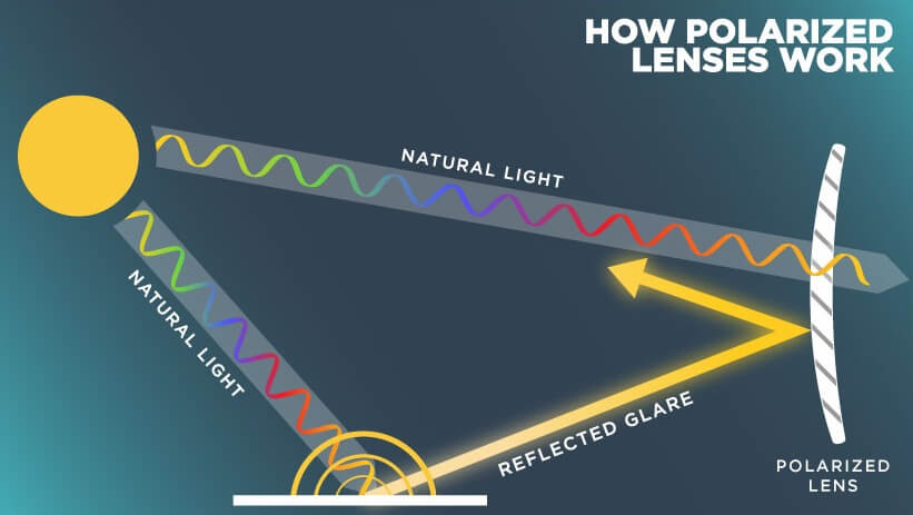 How Polarized Lenses Work