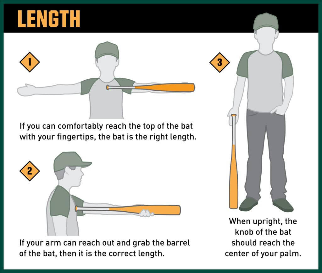 Length Baseball Bat
