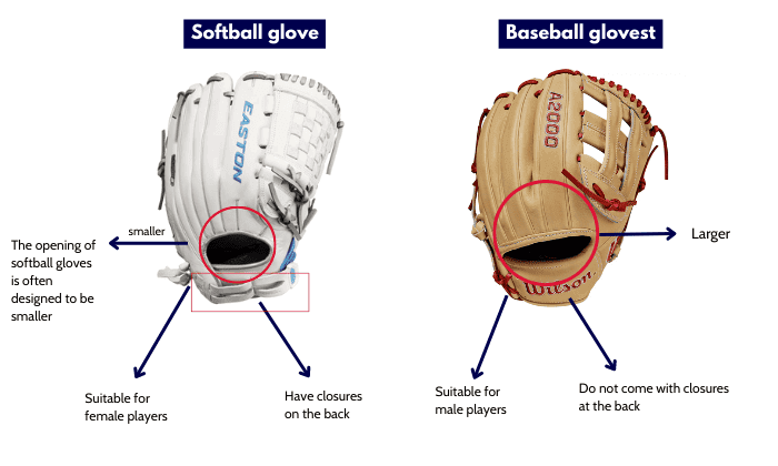 Softball vs Baseball Gloves
